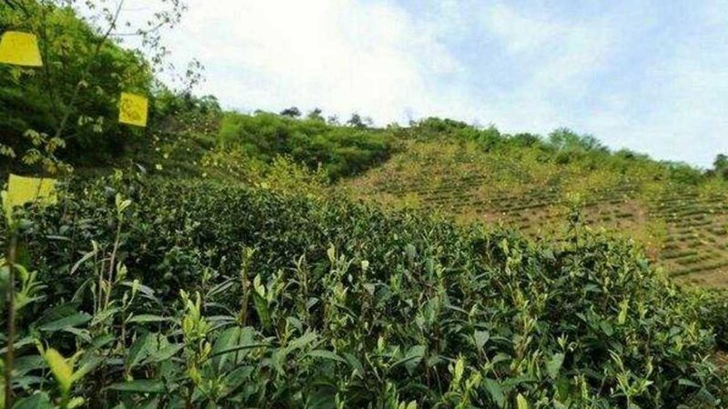 敦煌市金博特种水产养殖有限公司